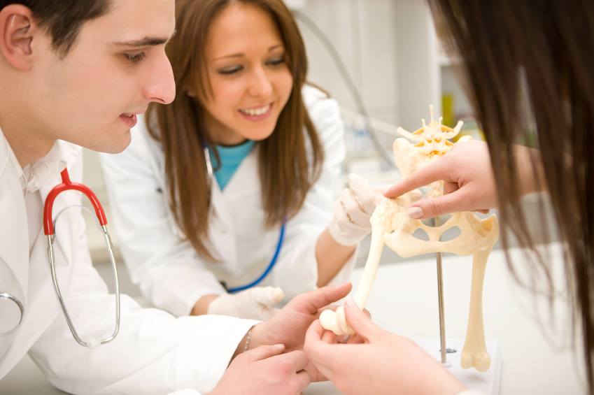 Grant Spotlight: Increasing Training Capacity (New York)